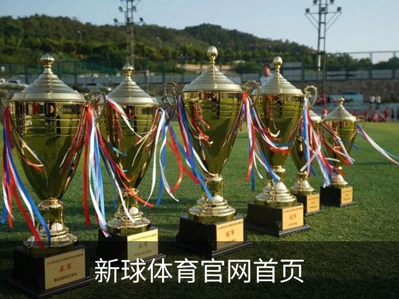 新球体育官网首页概况